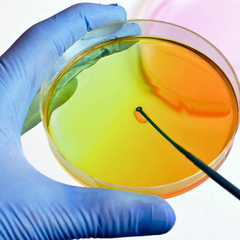 Pobieranie próbek mikrobiologicznych w ramach kwalifikacji pomieszczeń czystych