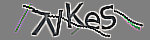 Enter the character string shown in the picture